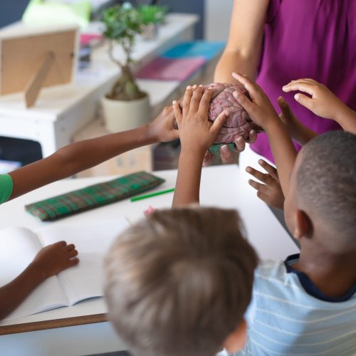 Multiracial elementary students touching brain model while caucasian young female teacher teaching. unaltered, education, childhood, teaching, learning, science and school concept.