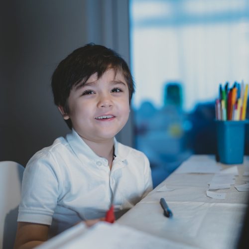 Schoolboy looking at camera with smiling face. Happy kid get ready for study or doing his homework. Elementary school and homeschooling concept
